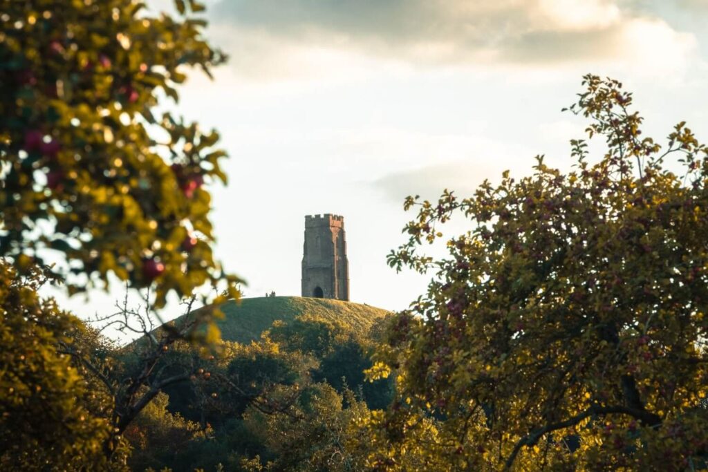 Glastonbury Tor viewed through autumn leaves from The Middlewick land