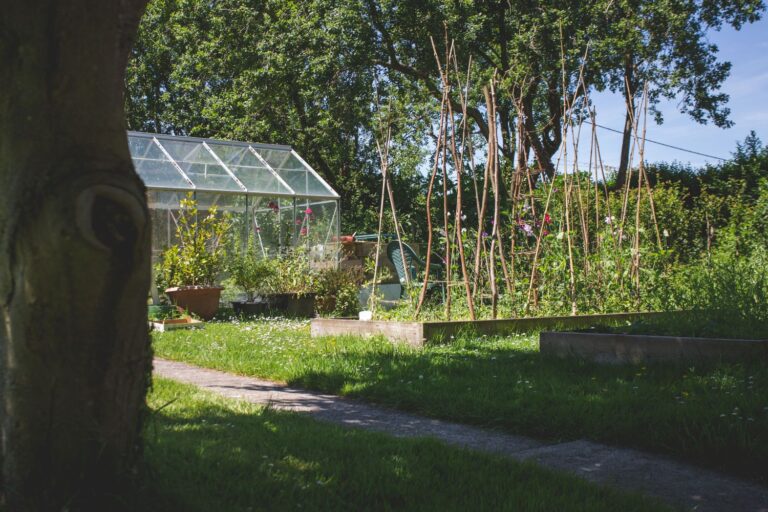 Middlewick Vegetable patch