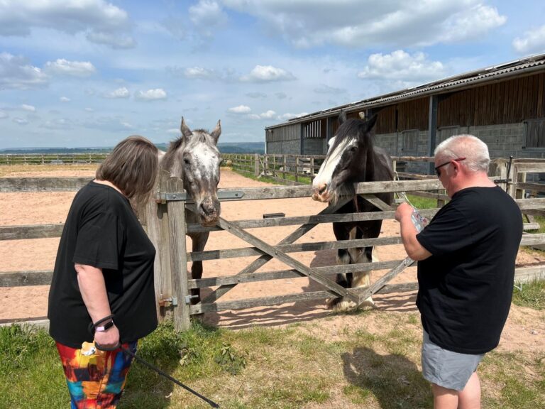 guests with horses